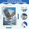 Eagle Diamond Art Kits for Adults - 4Th of July Diamond Painting Kits DIY 5D Full Drill Diamond Dots Paintings with Diamonds Gem Art and Crafts for Home Decor 12x16 Inch